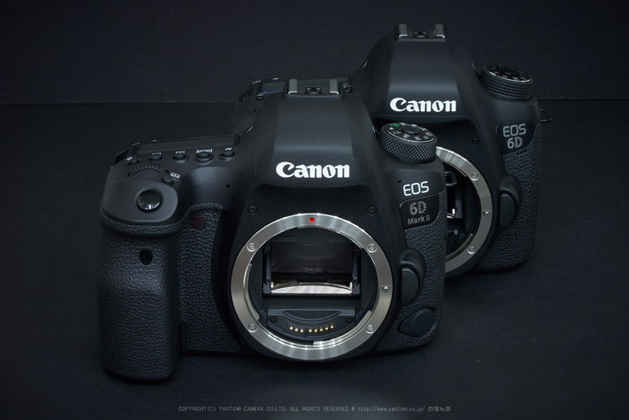 キヤノン Canon EOS 6D MarkII を使ってみました ／ Canon EF24-105mm 